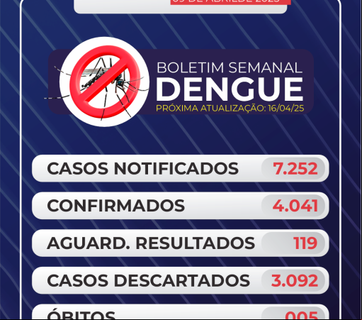 BOLETIM Nº 013 DENGUE}