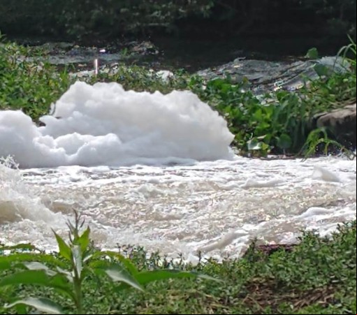ARARAS ESTÁ MATANDO O RIO MOGI GUAÇU}